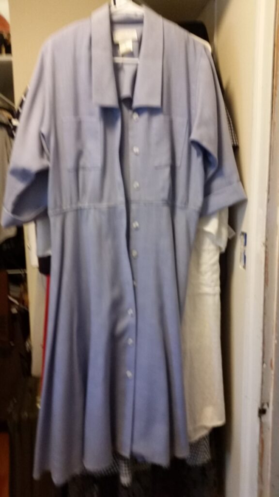 Blue oxford cloth shirtdress from consignment store in Ashland, Wisconsin